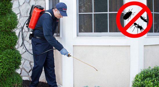 Başmakçı Hamam Böceği İlaçlama böcek ilaçlama ve haşere kontrolü — ilaclama-tr.com